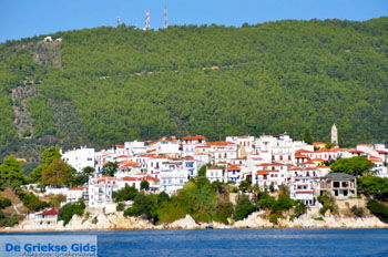 Skiathos stad | Skiathos Sporaden Griekenland foto 69 - Foto van https://www.grieksegids.nl/fotos/skiathos/normaal/skiathos-grieksegids-442.jpg
