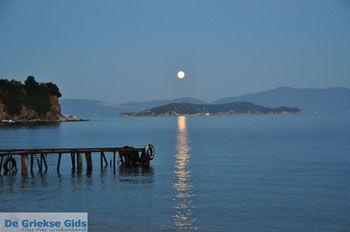 Maniatis Garden Achladies | Skiathos Sporaden Griekenland foto 8 - Foto van https://www.grieksegids.nl/fotos/skiathos/normaal/skiathos-grieksegids-464.jpg