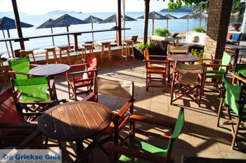 Maniatis Garden Achladies | Skiathos Sporaden Griekenland foto 11 - Foto van https://www.grieksegids.nl/fotos/skiathos/normaal/skiathos-grieksegids-467.jpg