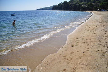 Achladies | Skiathos Sporaden Griekenland foto 21 - Foto van https://www.grieksegids.nl/fotos/skiathos/normaal/skiathos-grieksegids-471.jpg