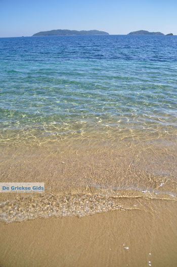 Achladies | Skiathos Sporaden Griekenland foto 23 - Foto van https://www.grieksegids.nl/fotos/skiathos/normaal/skiathos-grieksegids-473.jpg