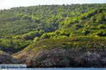 De groene oostkust van Skopelos | Sporaden Griekenland foto 3 - Foto van De Griekse Gids