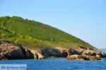 De groene oostkust van Skopelos | Sporaden Griekenland foto 5 - Foto van De Griekse Gids