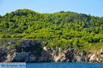 De groene oostkust van Skopelos | Sporaden Griekenland foto 6 - Foto van De Griekse Gids