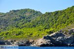 De groene oostkust van Skopelos | Sporaden Griekenland foto 7 - Foto van De Griekse Gids