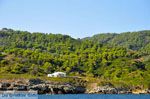 De groene oostkust van Skopelos | Sporaden Griekenland foto 10 - Foto van De Griekse Gids