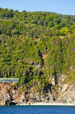 De groene oostkust van Skopelos | Sporaden Griekenland foto 11 - Foto van De Griekse Gids