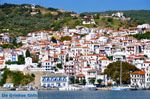 Skopelos stad | Sporaden Griekenland foto 5 - Foto van De Griekse Gids