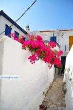 Skopelos stad | Sporaden Griekenland foto 64 - Foto van De Griekse Gids