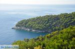 Stafylos | Skopelos Sporaden Griekenland foto 15 - Foto van De Griekse Gids