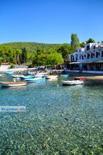 Agnontas | Skopelos Sporaden Griekenland foto 5 - Foto van De Griekse Gids