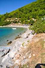 Panormos Skopelos | Sporaden Griekenland foto 12 - Foto van De Griekse Gids