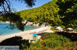 Kastani | Skopelos Sporaden Griekenland foto 6 - Foto van De Griekse Gids