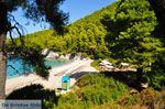 Kastani | Skopelos Sporaden Griekenland foto 8 - Foto van De Griekse Gids