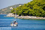 Kastani | Skopelos Sporaden Griekenland foto 9 - Foto van De Griekse Gids