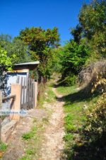 Palio Klima (Oud Klima) | Skopelos Sporaden Griekenland foto 16 - Foto van De Griekse Gids