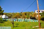 Haven Loutraki bij Glossa | Skopelos Sporaden Griekenland 20 - Foto van De Griekse Gids