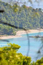 Bij de stranden Kastani en Milia | Skopelos Sporaden Griekenland foto 1 - Foto van De Griekse Gids