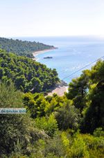 Stranden Kastani en Milia |Skopelos Sporaden Griekenland foto 4 - Foto van De Griekse Gids