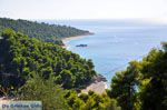 Stranden Kastani en Milia |Skopelos Sporaden Griekenland foto 6 - Foto van De Griekse Gids