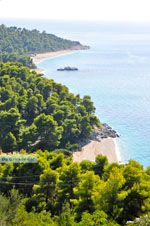 Stranden Kastani en Milia |Skopelos Sporaden Griekenland foto 7 - Foto van De Griekse Gids