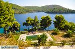 Panormos Skopelos | Sporaden Griekenland foto 17 - Foto van De Griekse Gids