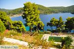 Panormos Skopelos | Sporaden Griekenland foto 18 - Foto van De Griekse Gids