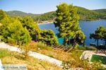 Panormos Skopelos | Sporaden Griekenland foto 19 - Foto van De Griekse Gids