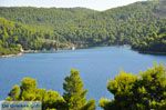 Panormos Skopelos | Sporaden Griekenland foto 20 - Foto van De Griekse Gids