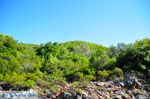 Panormos Skopelos | Sporaden Griekenland foto 27 - Foto van De Griekse Gids