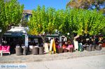 Skopelos stad | Sporaden Griekenland foto 82 - Foto van De Griekse Gids