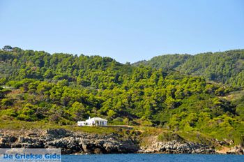 De groene oostkust van Skopelos | Sporaden Griekenland foto 10 - Foto van https://www.grieksegids.nl/fotos/skopelos/normaal/skopelos-grieksegids-015.jpg