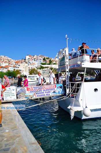 Skopelos stad | Sporaden Griekenland foto 12 - Foto van https://www.grieksegids.nl/fotos/skopelos/normaal/skopelos-grieksegids-051.jpg