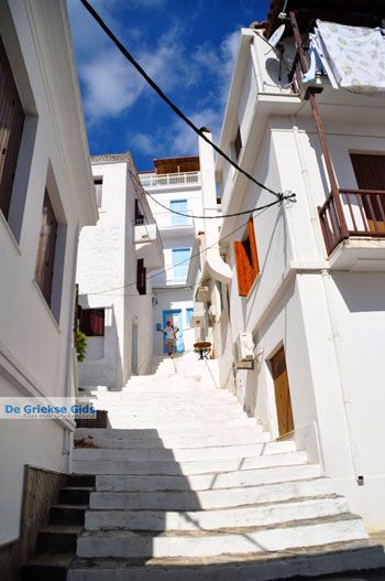 Skopelos stad | Sporaden Griekenland foto 23 - Foto van https://www.grieksegids.nl/fotos/skopelos/normaal/skopelos-grieksegids-062.jpg