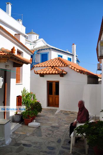 Skopelos stad | Sporaden Griekenland foto 25 - Foto van https://www.grieksegids.nl/fotos/skopelos/normaal/skopelos-grieksegids-064.jpg