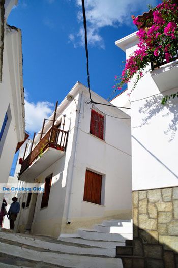 Skopelos stad | Sporaden Griekenland foto 34 - Foto van https://www.grieksegids.nl/fotos/skopelos/normaal/skopelos-grieksegids-073.jpg