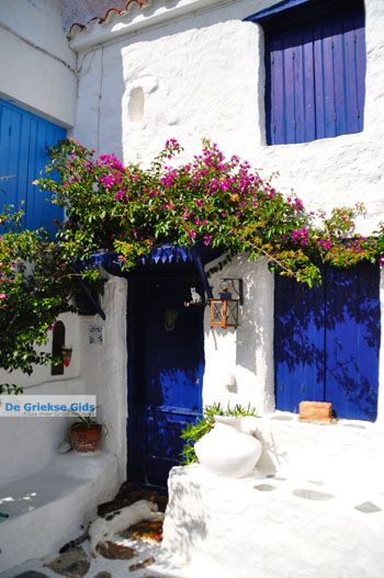 Skopelos stad | Sporaden Griekenland foto 58 - Foto van https://www.grieksegids.nl/fotos/skopelos/normaal/skopelos-grieksegids-097.jpg