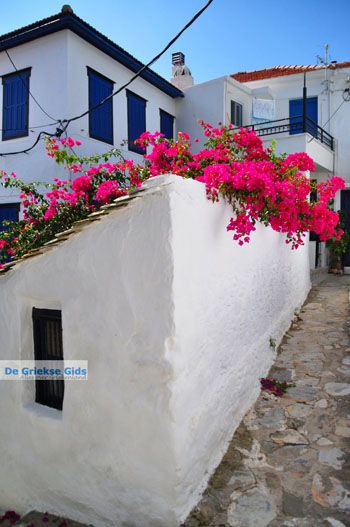 Skopelos stad | Sporaden Griekenland foto 63 - Foto van https://www.grieksegids.nl/fotos/skopelos/normaal/skopelos-grieksegids-102.jpg