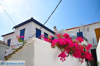 Skopelos stad | Sporaden Griekenland foto 65 - Foto van https://www.grieksegids.nl/fotos/skopelos/normaal/skopelos-grieksegids-104.jpg