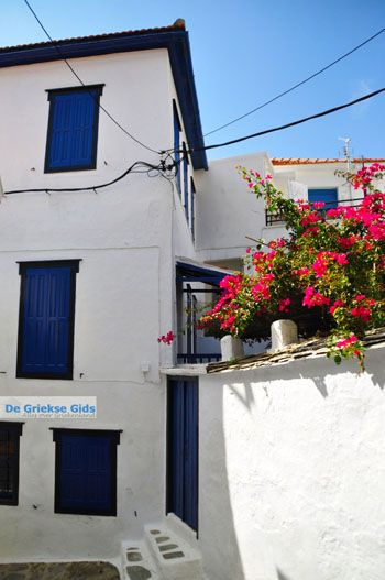 Skopelos stad | Sporaden Griekenland foto 66 - Foto van https://www.grieksegids.nl/fotos/skopelos/normaal/skopelos-grieksegids-105.jpg