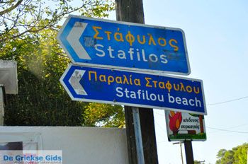 Stafylos | Skopelos Sporaden Griekenland foto 1 - Foto van https://www.grieksegids.nl/fotos/skopelos/normaal/skopelos-grieksegids-115.jpg