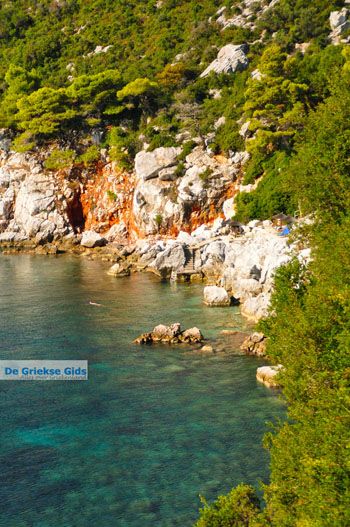 Stafylos | Skopelos Sporaden Griekenland foto 3 - Foto van https://www.grieksegids.nl/fotos/skopelos/normaal/skopelos-grieksegids-117.jpg