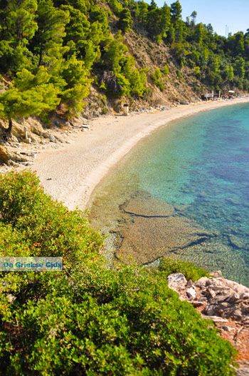 Stafylos | Skopelos Sporaden Griekenland foto 7 - Foto van https://www.grieksegids.nl/fotos/skopelos/normaal/skopelos-grieksegids-121.jpg