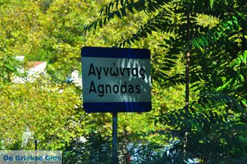 Agnontas | Skopelos Sporaden Griekenland foto 1 - Foto van https://www.grieksegids.nl/fotos/skopelos/normaal/skopelos-grieksegids-130.jpg