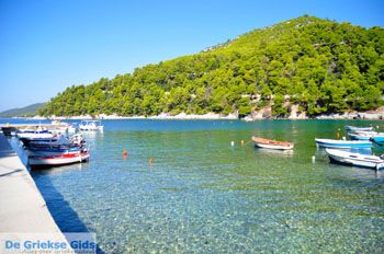 Agnontas | Skopelos Sporaden Griekenland foto 4 - Foto van https://www.grieksegids.nl/fotos/skopelos/normaal/skopelos-grieksegids-133.jpg