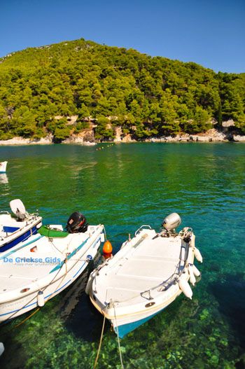 Agnontas | Skopelos Sporaden Griekenland foto 7 - Foto van https://www.grieksegids.nl/fotos/skopelos/normaal/skopelos-grieksegids-136.jpg