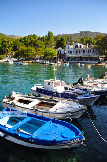Agnontas | Skopelos Sporaden Griekenland foto 8 - Foto van https://www.grieksegids.nl/fotos/skopelos/normaal/skopelos-grieksegids-137.jpg