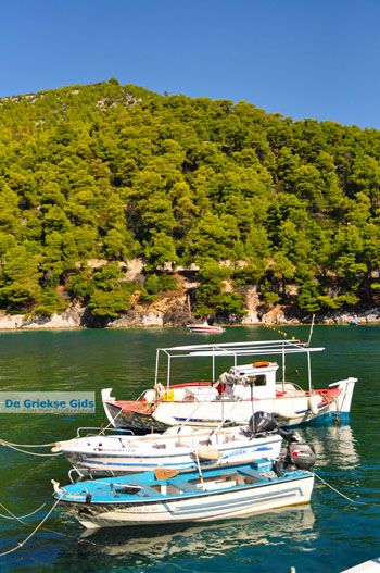 Agnontas | Skopelos Sporaden Griekenland foto 9 - Foto van https://www.grieksegids.nl/fotos/skopelos/normaal/skopelos-grieksegids-138.jpg