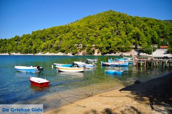 Agnontas | Skopelos Sporaden Griekenland foto 11 - Foto van https://www.grieksegids.nl/fotos/skopelos/normaal/skopelos-grieksegids-140.jpg