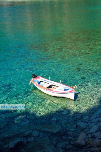 Limnonari bij Agnontas | Skopelos Sporaden Griekenland foto 4 - Foto van https://www.grieksegids.nl/fotos/skopelos/normaal/skopelos-grieksegids-145.jpg